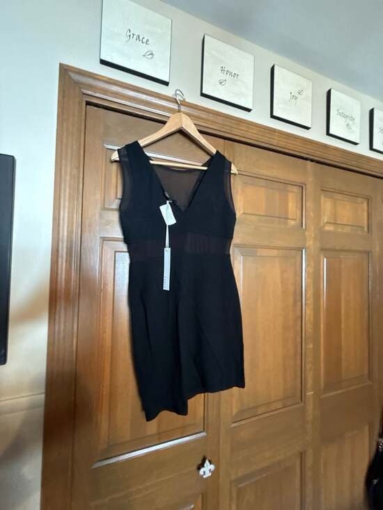 Fable Mesh Inset Sheer V-Neck Bodycon Mini Dress - Picture 5 of 8